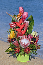 Makuahine Arrangement
