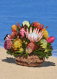 Large Protea/Tropical Basket Arrangement