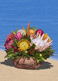 Medium Protea/Tropical Basket Arrangement