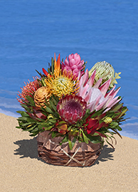 Small Protea/Tropical Basket Arrangement