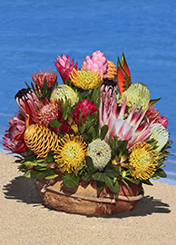 Extra Large Protea/Tropical Basket Arrangement