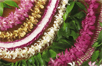 Hawaiian Leis