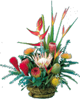 Maui Bouquets