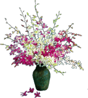 Moloka'i Bouquet