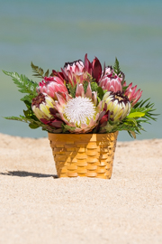 Harvest Gold Protea Arrangement