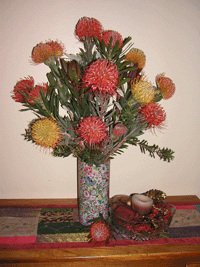 Protea Pincushion Special
